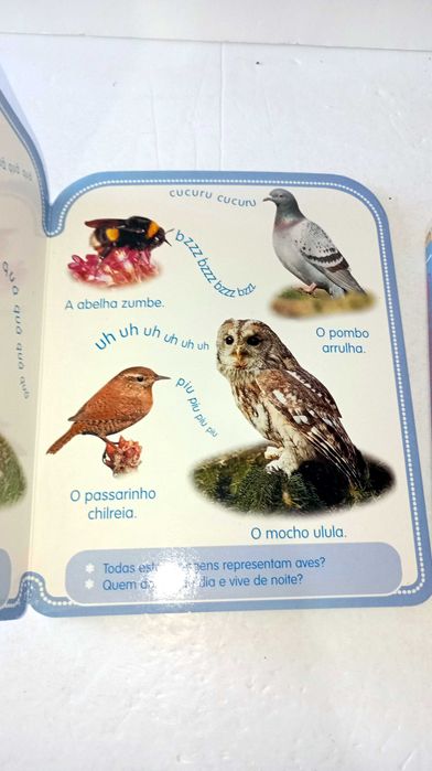 Livros da Coleção - descobre os Animais