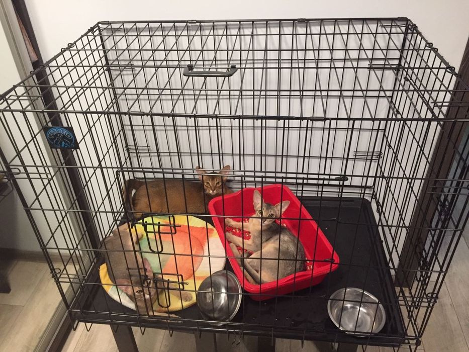 Клітка для тварин, бокс, манеж