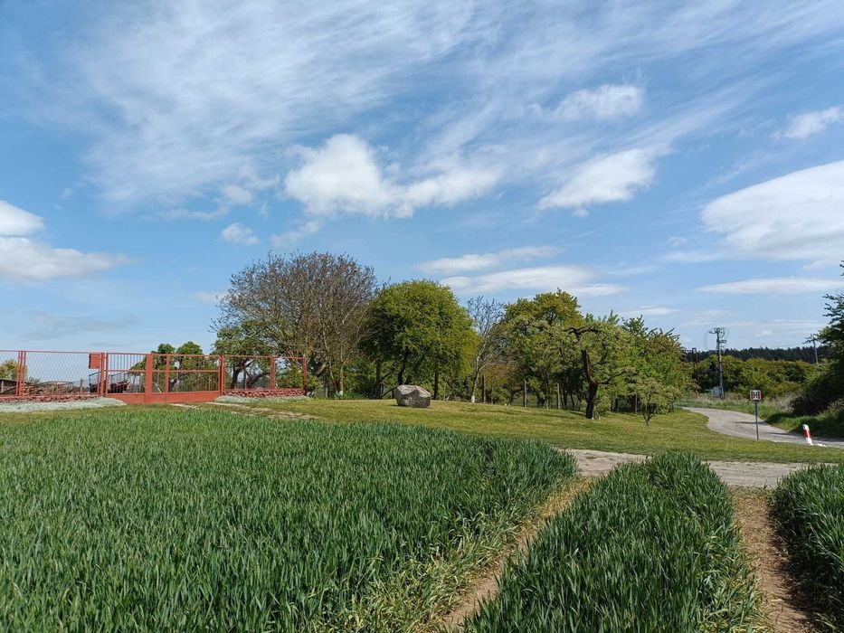 Sprzedam Dom na Wsi z Potencjałem !