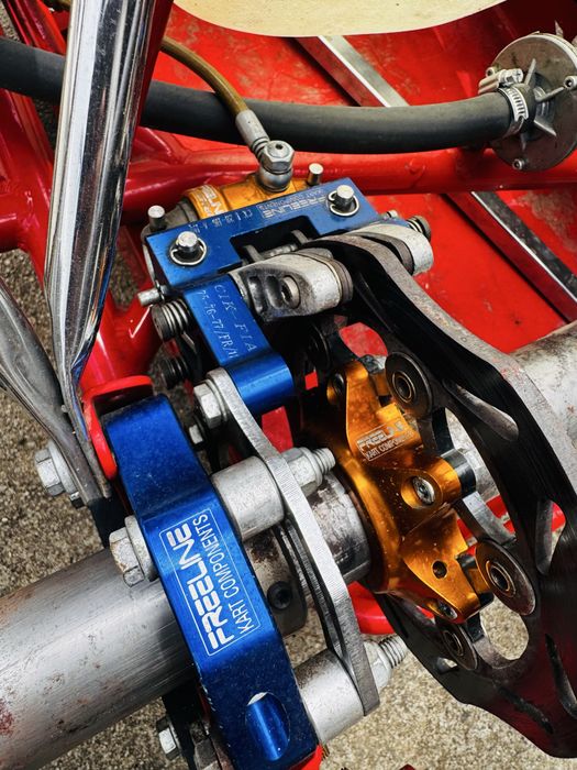 Kart Birel 125CC - IAME X30 + Alfano + Muitos Extras