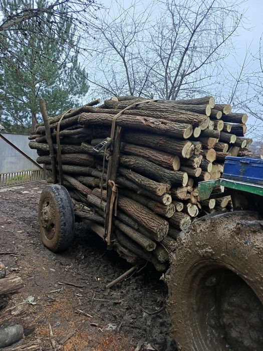 Акація дуб дрова