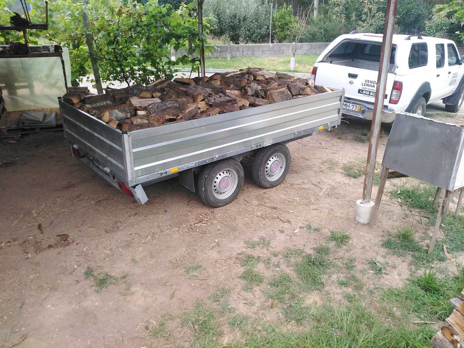 Lenha seca rachada Eucalipto Carvalho e Austrália