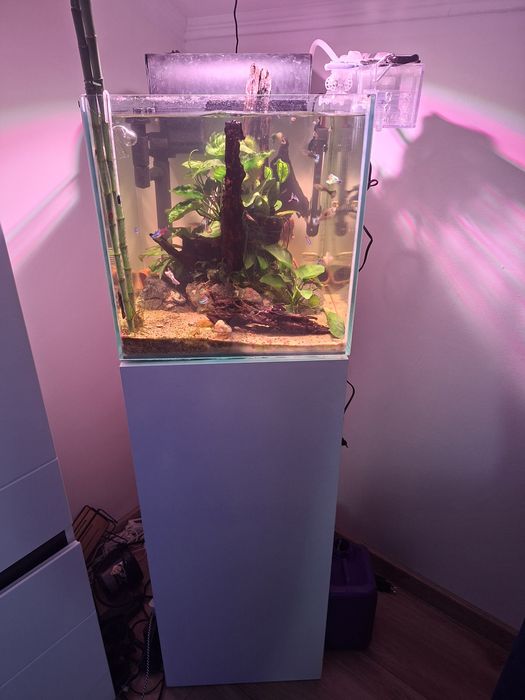 Akwarium wraz z całym wyposarzeniem
