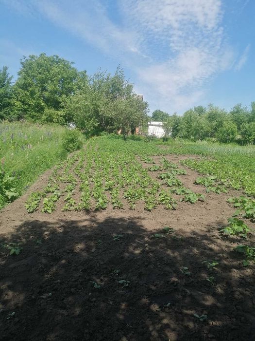 Продам ділянку в Лезнево
