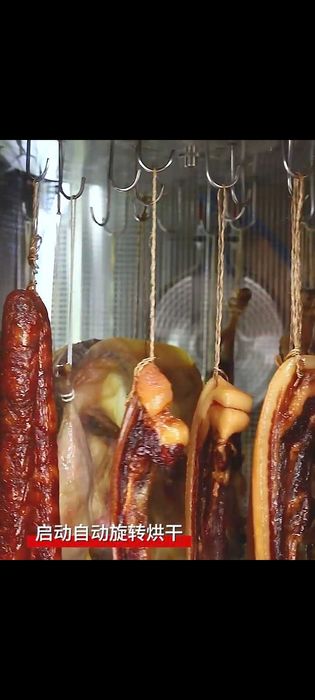 Комбінований Дегідратор 22 лотки і гачки з функцією копчення Коптильня