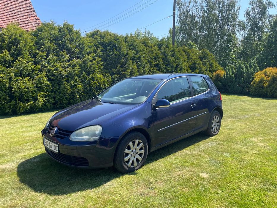 Volkswagen Golf Volkswagen Golf 5, 2006, 1.6 benzyna