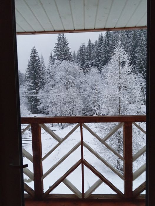 Відпочинок в Карпатах