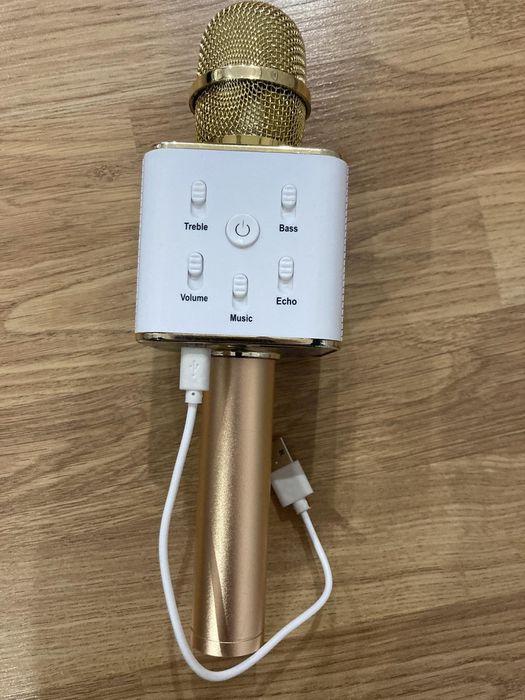 Мікрофон дитячий