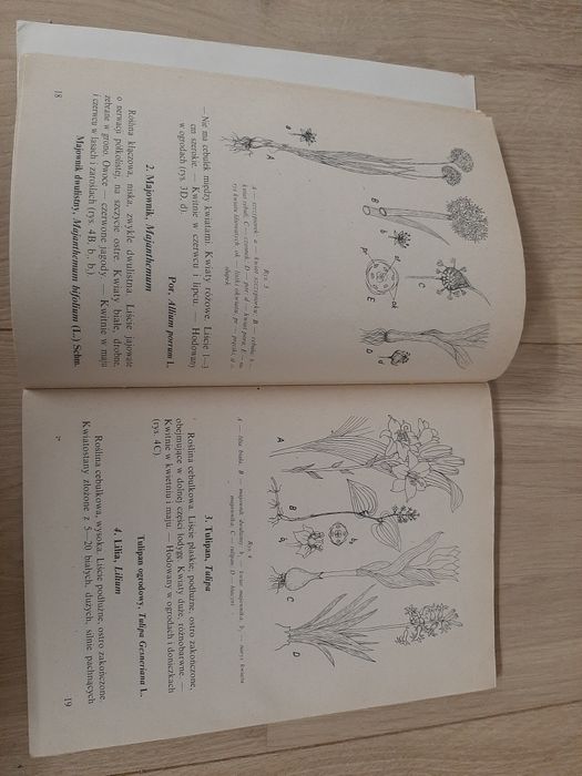 Poznaj 100 roślin - Janina Szaferowa