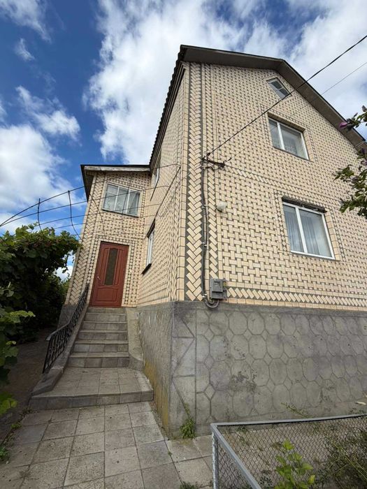 БУДИНОК У с. ДРУЖНОМУ | 25 соток | 110 М²