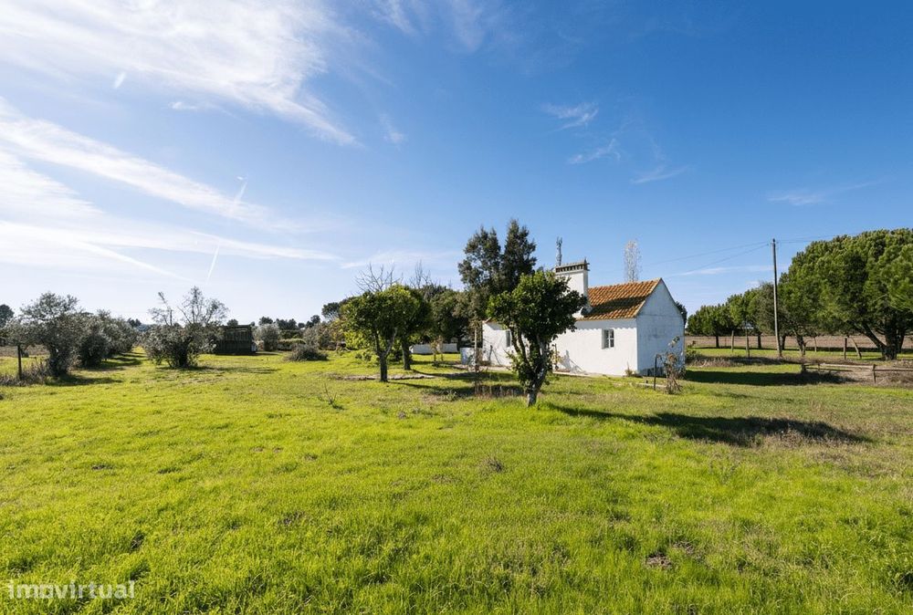 Terreno Misto 1.2 ha, Grandola
