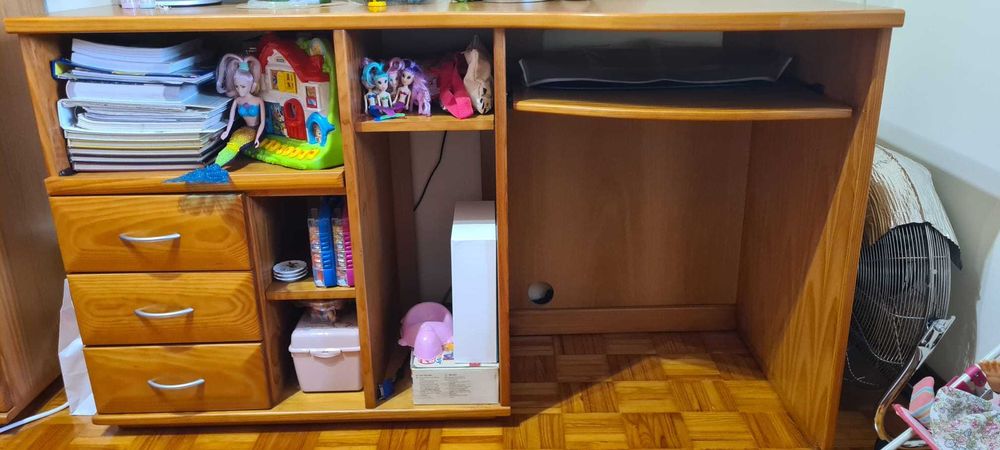 SECRETÁRIA em Pinho para computador