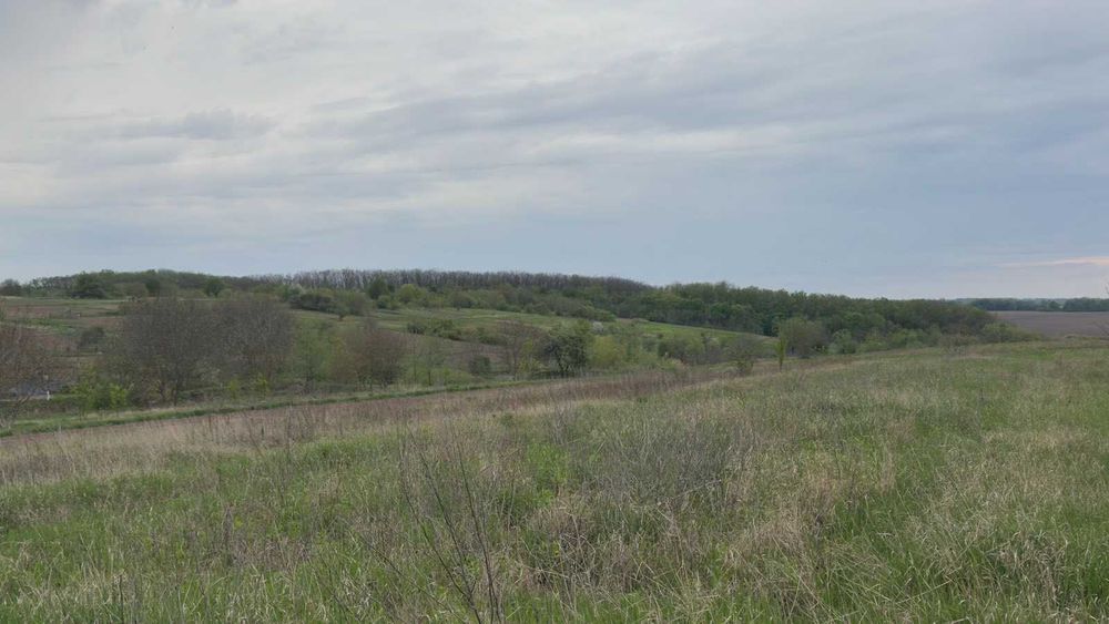 (5) Продам ділянку в Немирові 1122