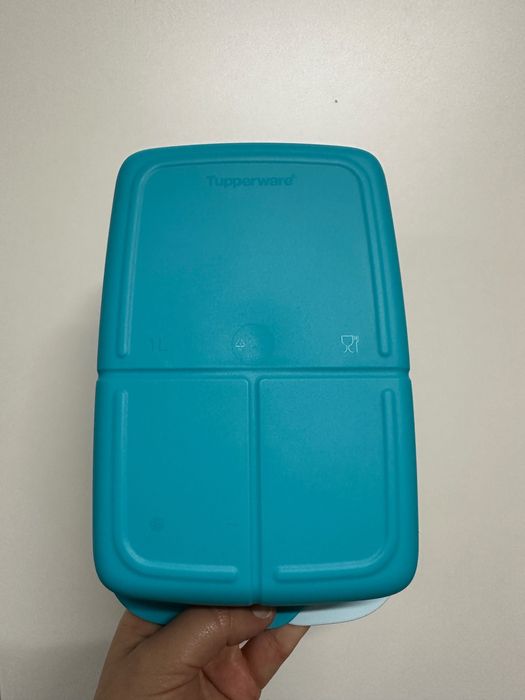 Caixa 1L com divisórias Tupperware427871681297131522