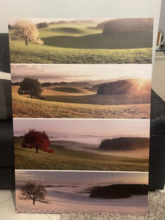 Tela 4 estacoes (mesmo local)