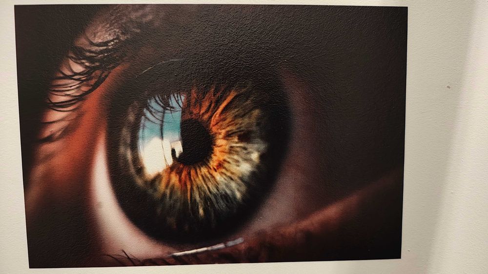 MR Druk Ścienny Andrychów