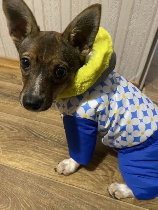 Комбінезон на дівчинку