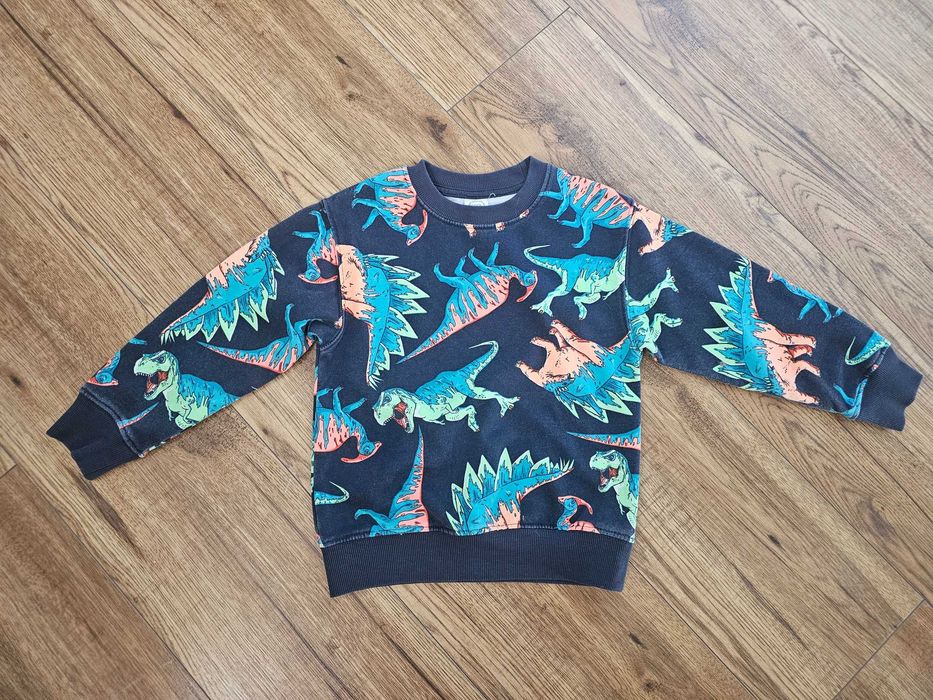 Bluza 110 dinozaury