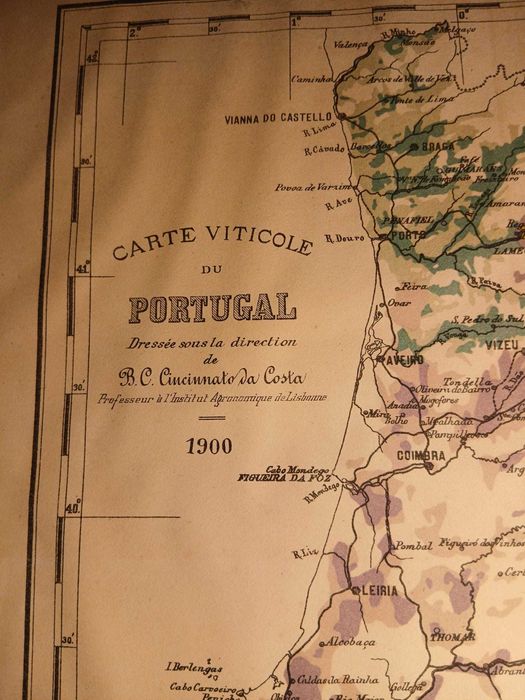 Mapa - Carte Viticole du Portugal, Cincinnato da Costa 1900