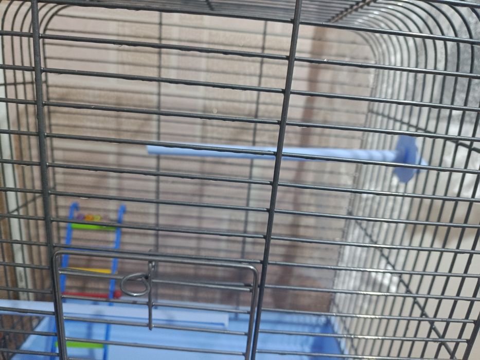 Большая клетка для попугая