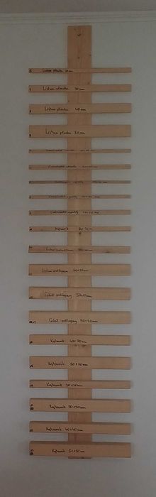 Boazeria 22x146 AB dwustronna deska elewacyjna na wiatę altanę BRUTTO!