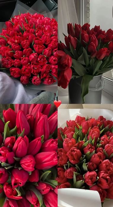 Заголовок: Тюльпани оптом і в роздріб, букети з доставкою