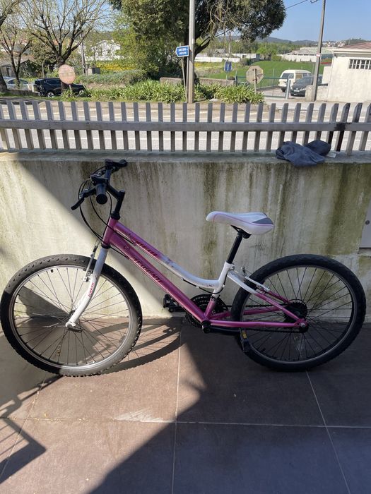 Bicicleta aro 24