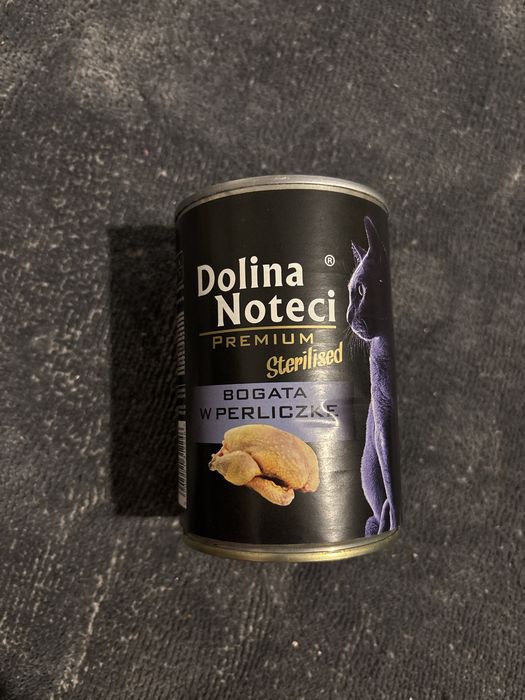 Dolina Noteci dla kotow sterylizowanych