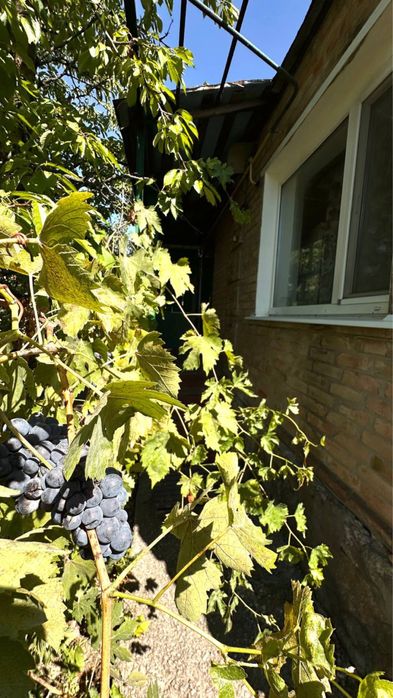 Можна по сертифікату! Будинок на Лелеківці з АГО, 3 кімнати, 59,4 кв.м