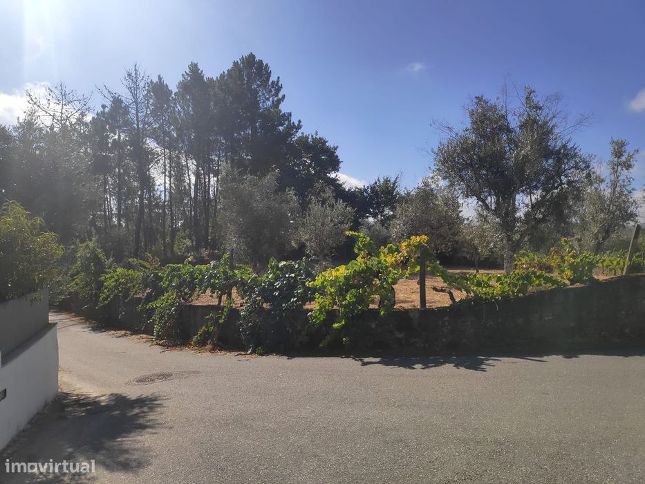 Excelente Terreno para Construção — Santos Evos, Viseu