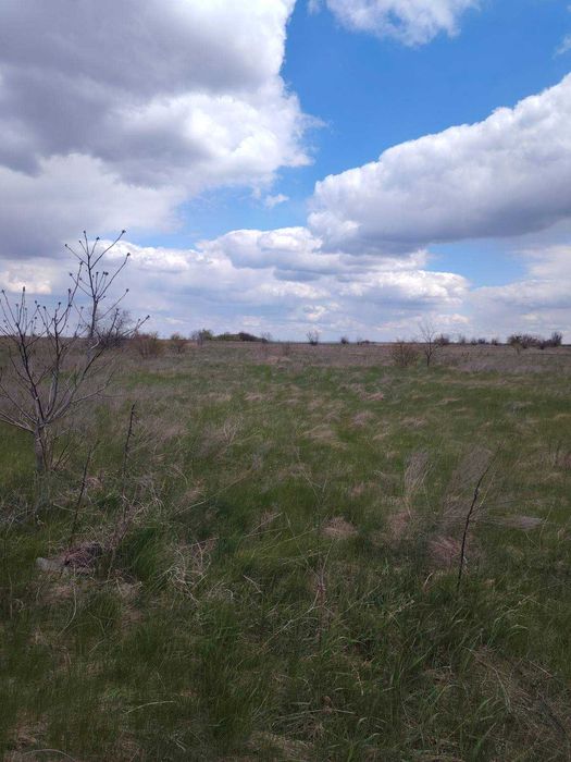 Земельна ділянка