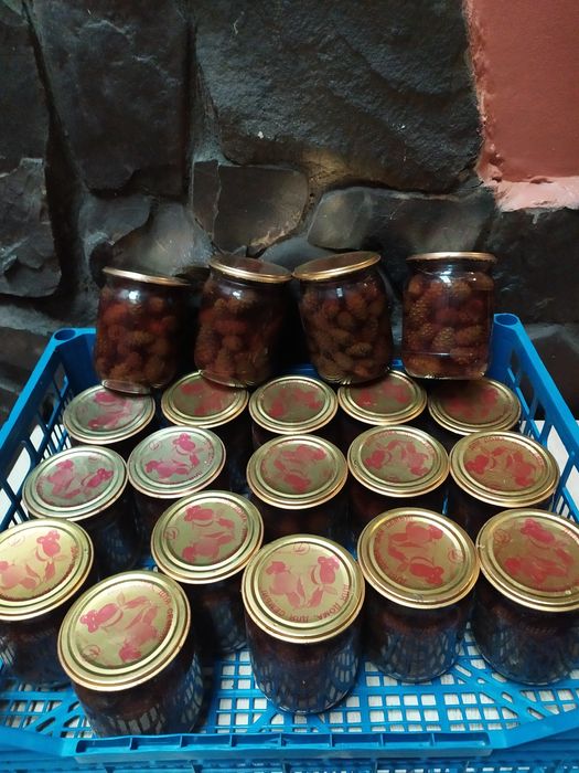 Соснові шишки.горіхи..калина.малина.обліпиха.