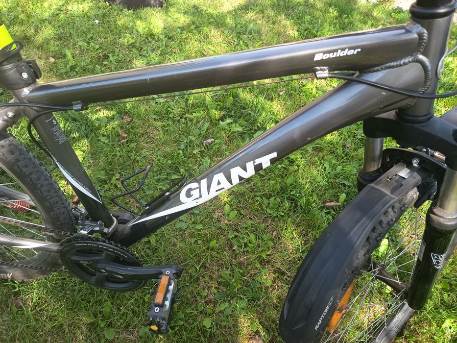 Rower męski Giant