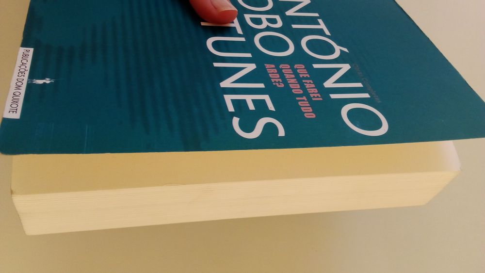 Livro "Que Farei Quando Tudo Arde"