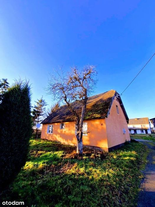 Dom – Wytok, powiat gryficki - Widok 5