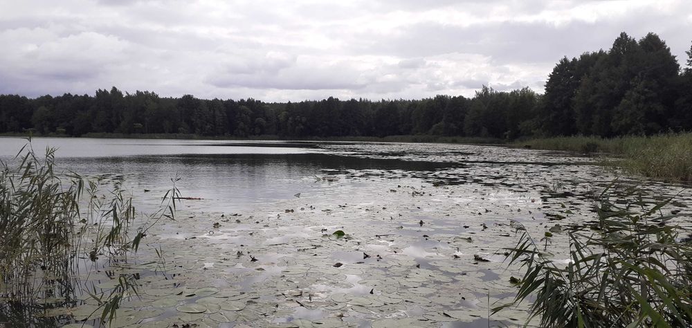 Działka rekreacyjna nad jeziorem (624 m2) piękny widok na rozlewisko, prąd, woda, Lubieniec okolice Chodcza