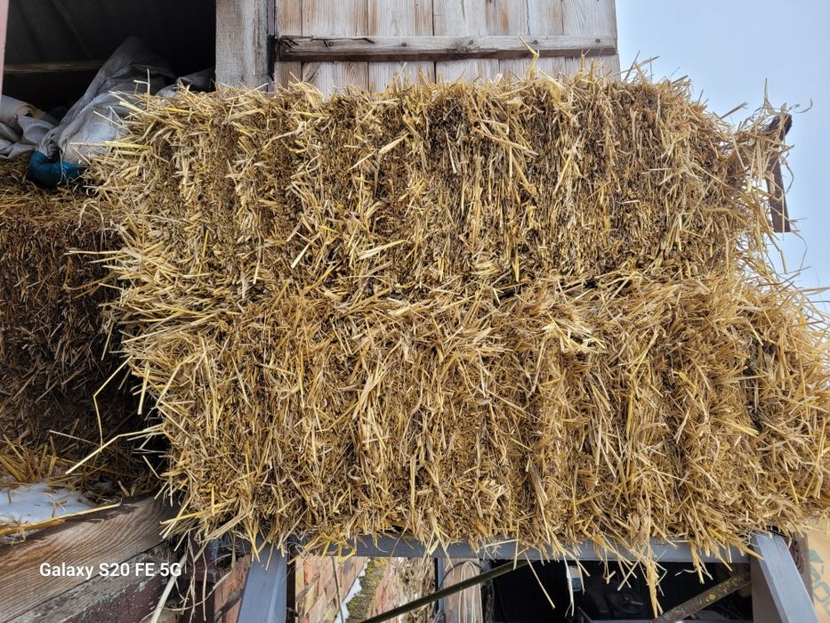 Продам солому пшеничну