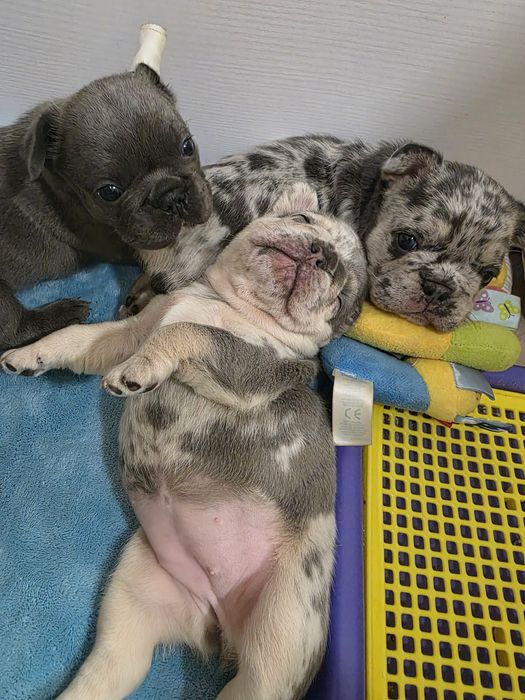 Дві дівчинки і солоденький хлопчик