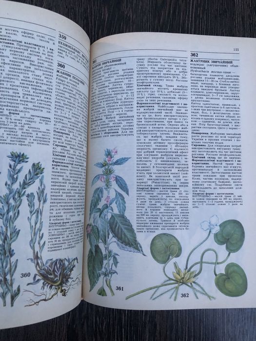 Лікарські рослини. Енциклопедичний довідник. А. Гродзінський.