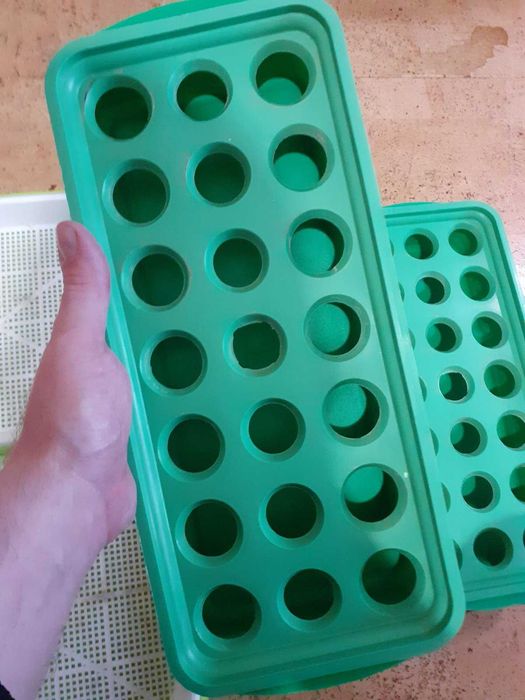 Лотки для мікрозелені та вирощування цибулі, россади