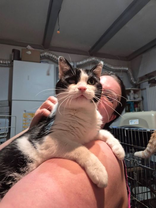 Biskup szuka domku na zawsze!