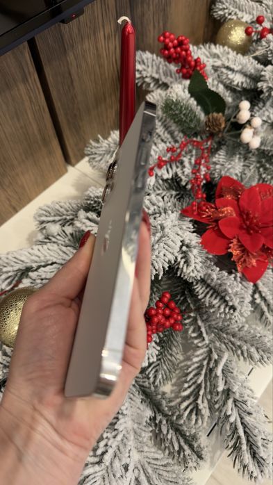 iPhone 12 Pro Max, Silver, 256 GB