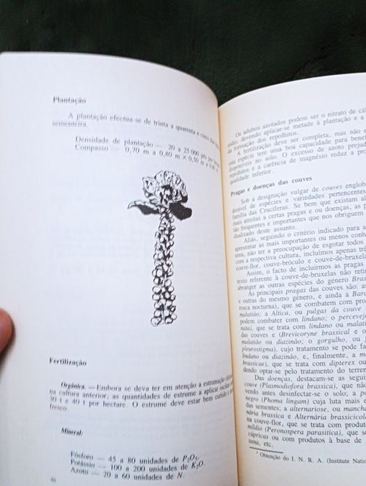 Horticultura e floricultura - Sousa Veloso/J Garrido/Bettencourt Raro*