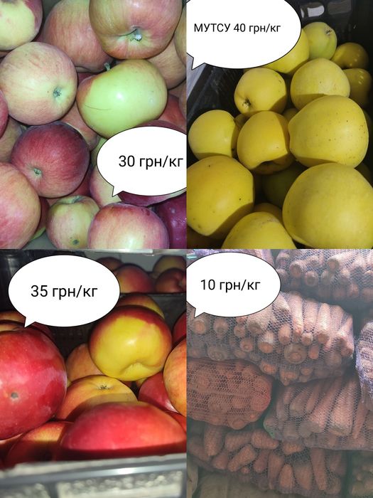 Яблука, морква домашні