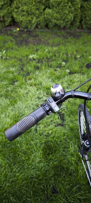 Holenderski rower elektryczny ICYCLE SPORTIVE. Komfort, moc i dynamiczna jazda w jednym.