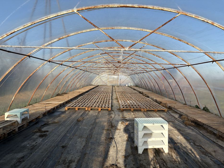 Tunel foliowy ogrodniczy