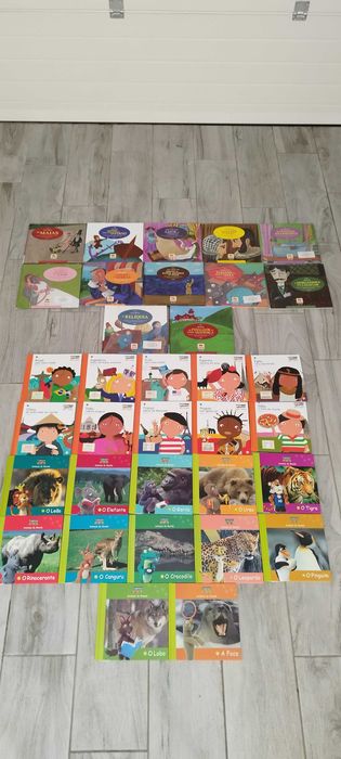 várias coleções de livros infantis didáticos