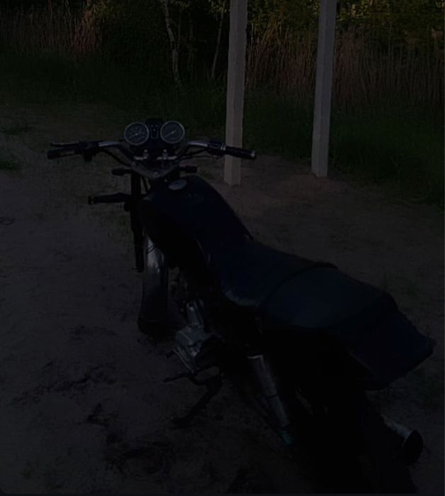 Alpha-musstang-110-2b