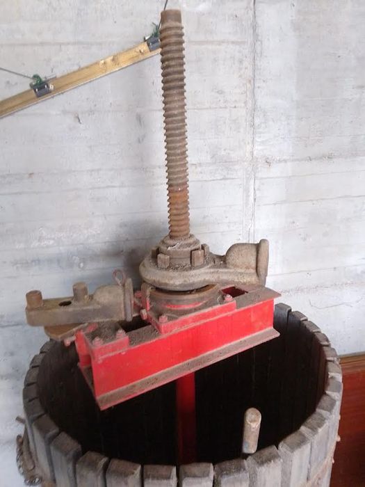 Prensa vinho 75 cm diametro