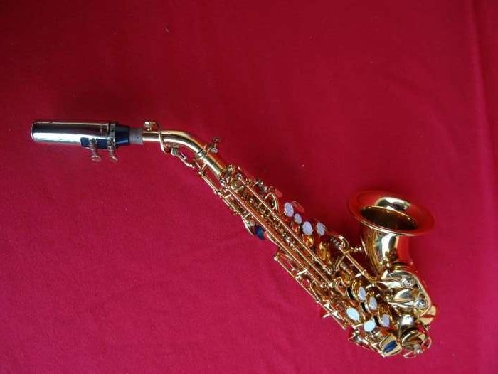 Curved Soprano Saxophone nr.664175301013634123
